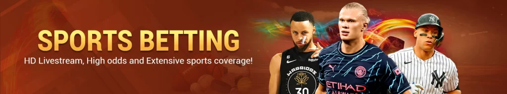 pesomax website image 125 showing sport banner